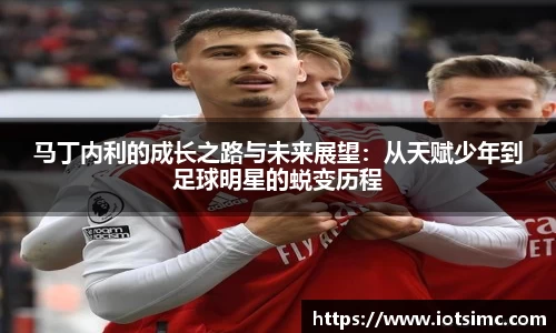 马丁内利的成长之路与未来展望：从天赋少年到足球明星的蜕变历程