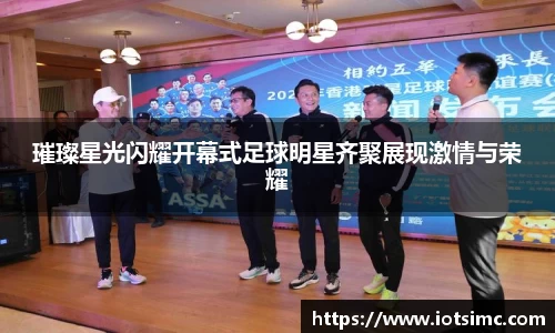 璀璨星光闪耀开幕式足球明星齐聚展现激情与荣耀