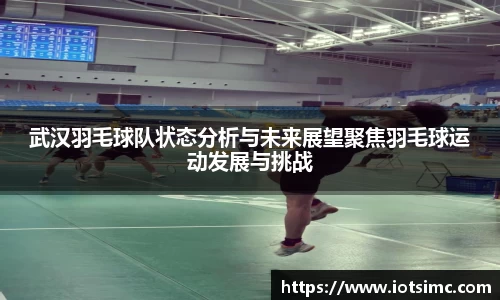 武汉羽毛球队状态分析与未来展望聚焦羽毛球运动发展与挑战
